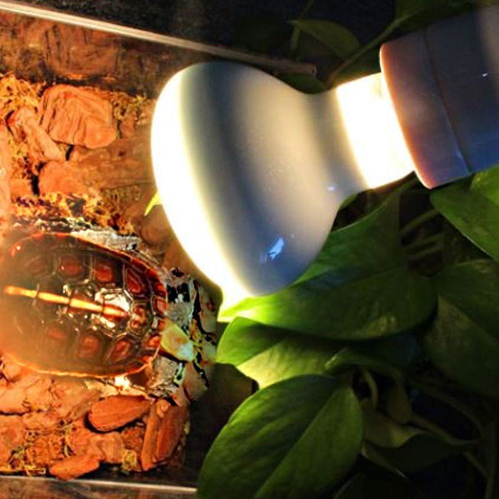 Basking Bulb Halogen - Eidechsen-Heizstrahler mit Temperaturregler, Halogenlampe, UVA-Licht für