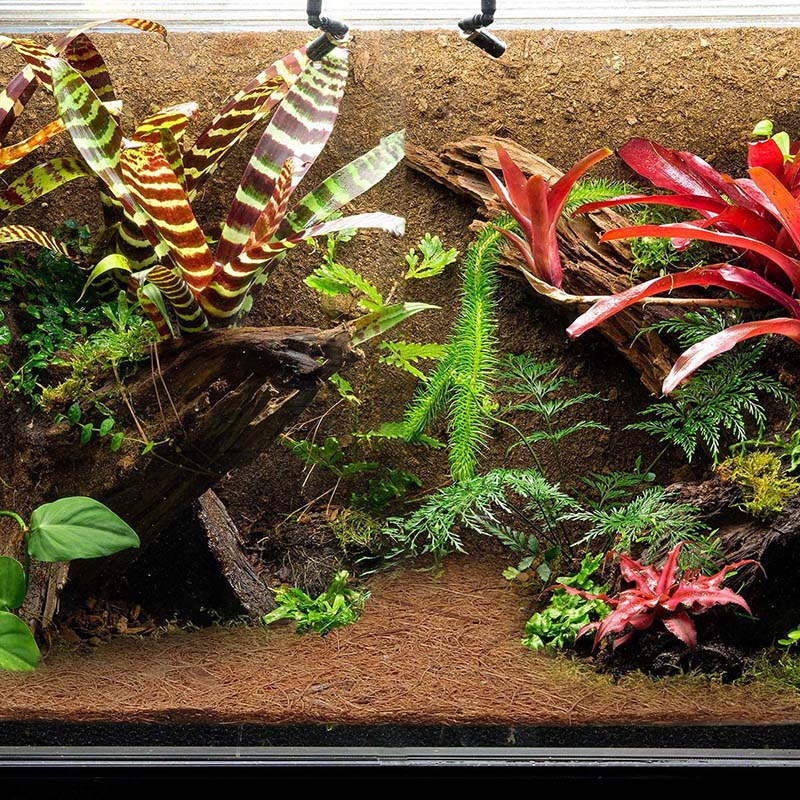 Substrate Coconut Fiber - AB33-Natürliche Kokosfaser-Matte, Reptilien-Teppich, Terrarium-Substrat für Eidechsen,