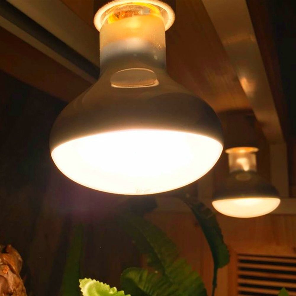 Basking Bulb Halogen - Schildkröte Temperaturregler Wärmelampe Sonnenlicht Halogenlampe Reptil