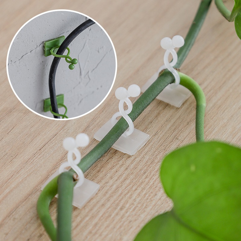 Vine Climbing Plastic - 10 Stück Pflanzenwand-Befestigungshaken Universelle Rankenhalterungen Haushalts-Pflanzengitter-Befestiger