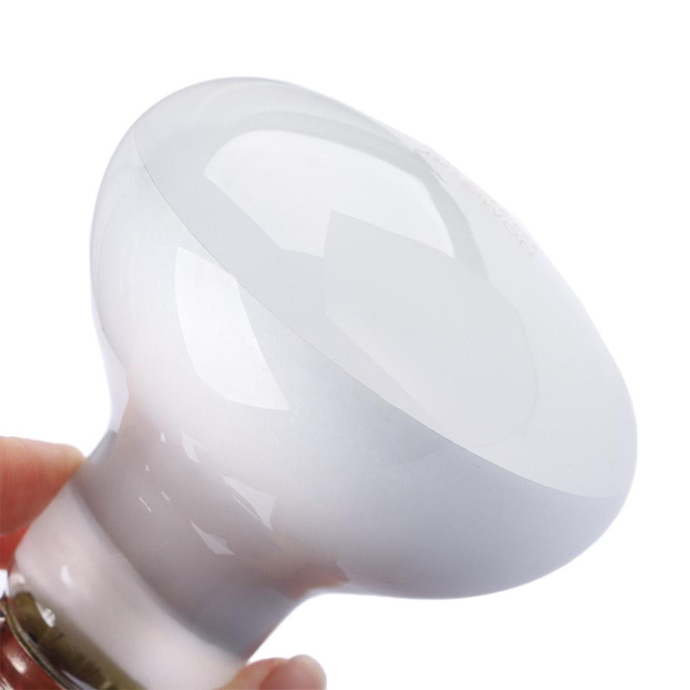 Basking Bulb Halogen - Schildkröten-Heizstrahler mit Temperaturregler, Halogenlampe, Reptilien-UVA-Licht