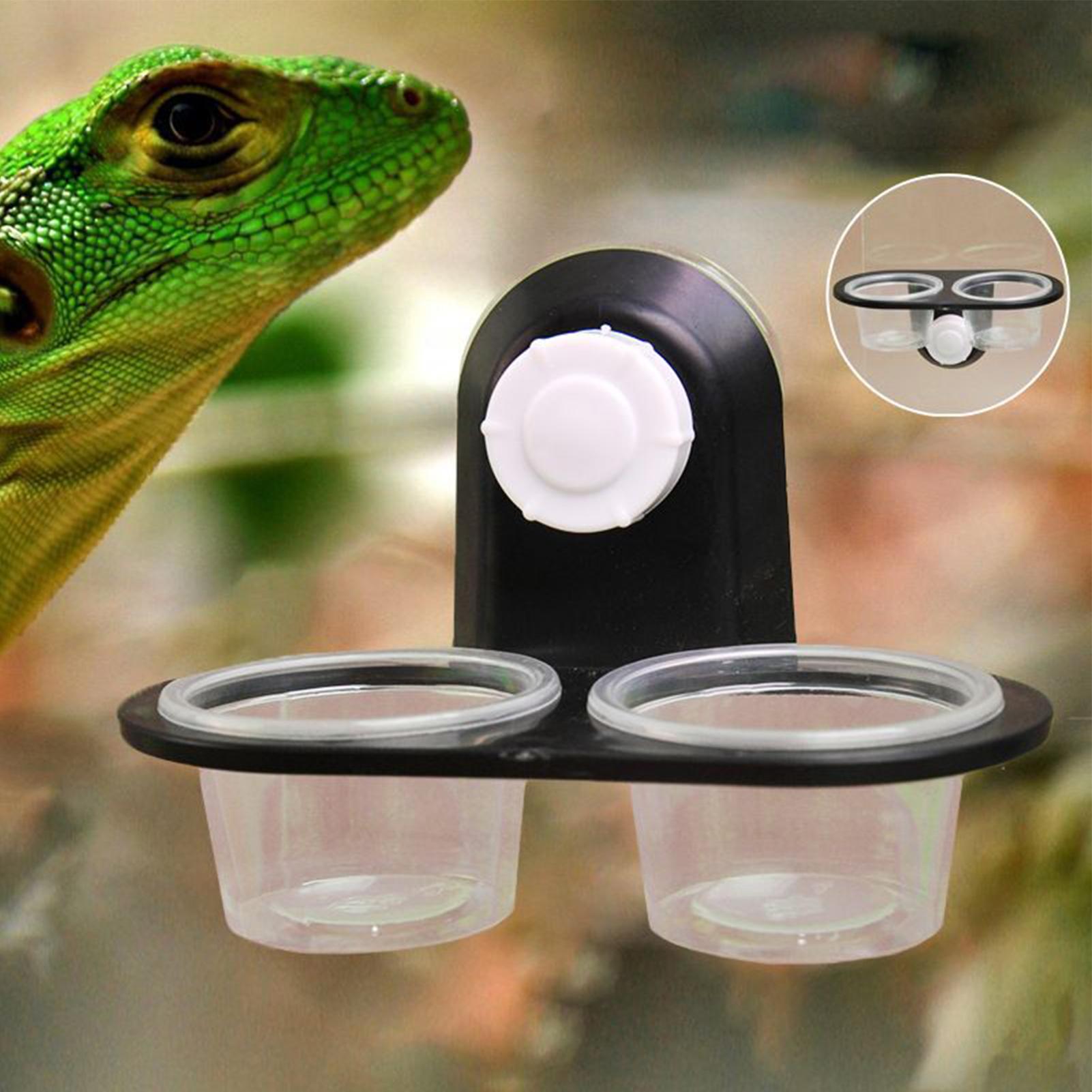 Water Dish Reptile - Gecko-Futterschale, Gecko-Fütterungsbecher, Spender, praktische Reinigung, langlebig,