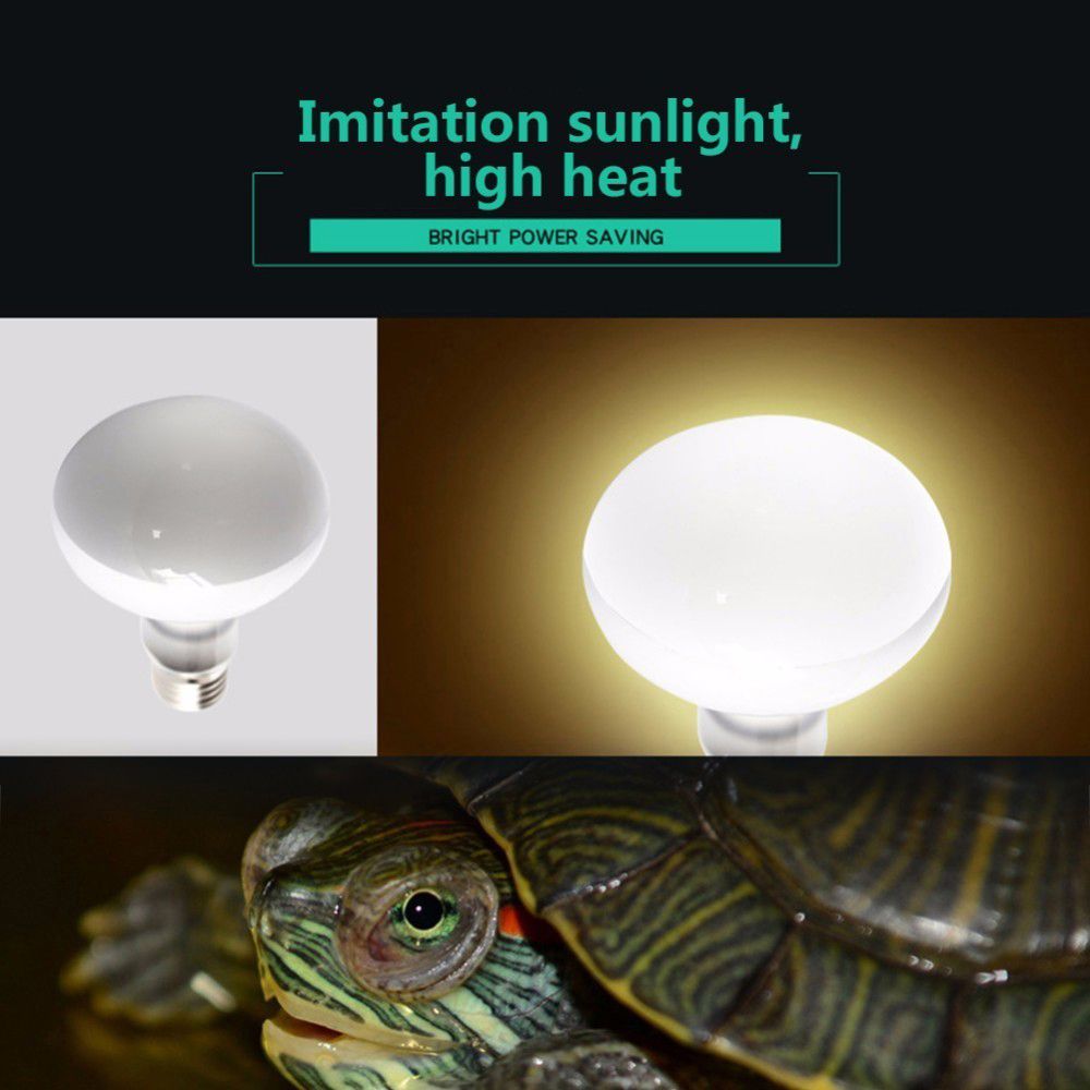 Basking Bulb Halogen - Schildkröten-Heizgerät Temperaturregler Reptilien-UVA-Licht Halogenlampe Wärmelampe