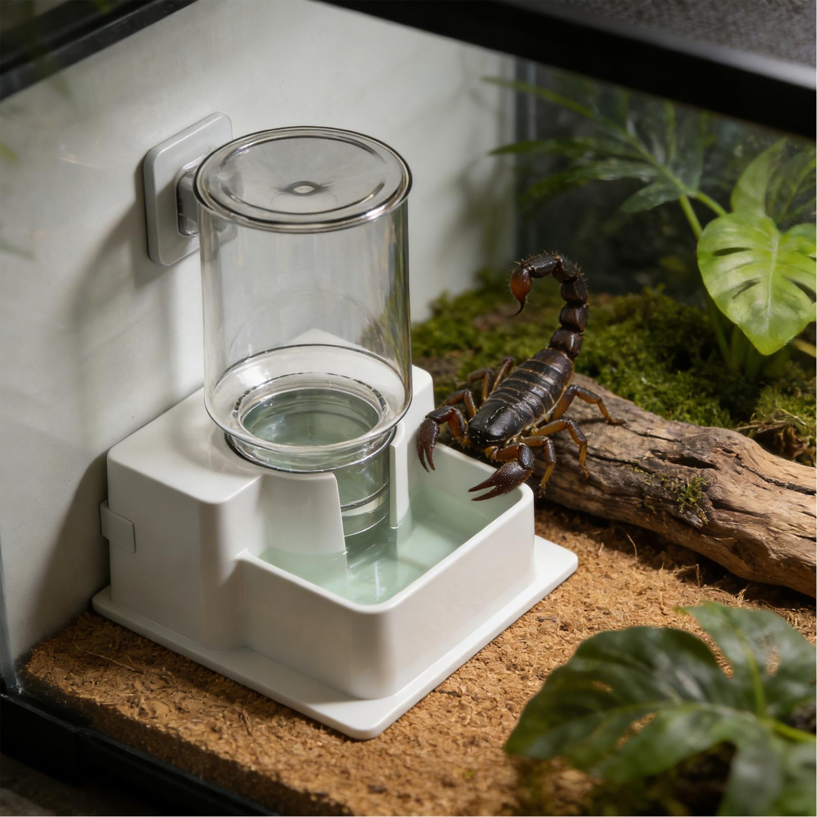 Water Dish Reptile - Automatischer Wasserbrunnen für Bartagamen, Terrarium-Wasserschale, Trinkspender