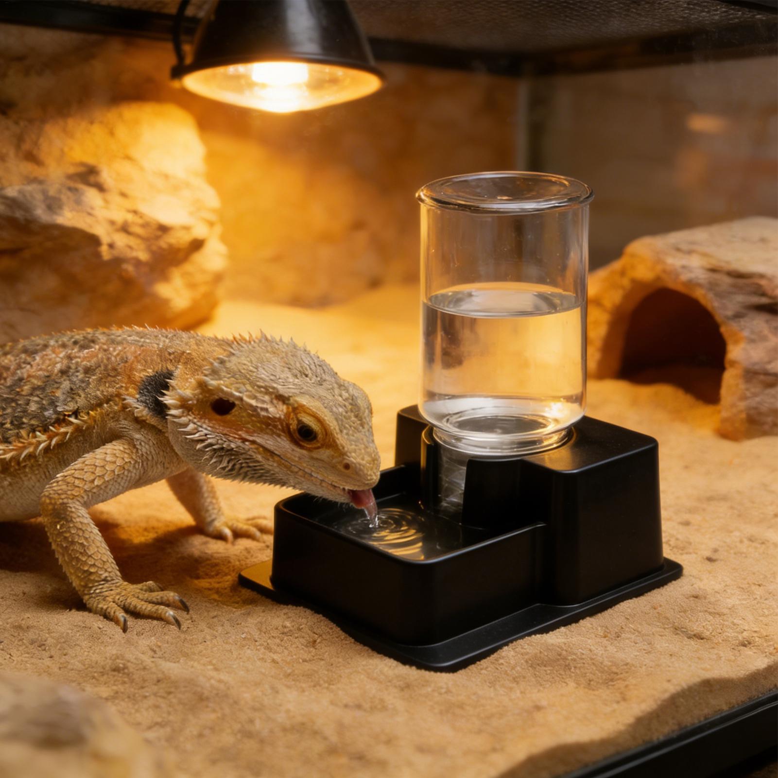 Water Dish Reptile - Automatischer Trinkbrunnen für Bartagamen, Reptilien-Wasserspender für