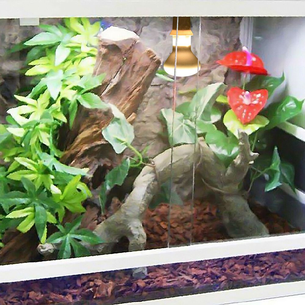 Basking Bulb Halogen - Schildkröten-Temperaturregler Heizgerät UVA-Licht Reptilien-Halogenlampe Wärmelampe