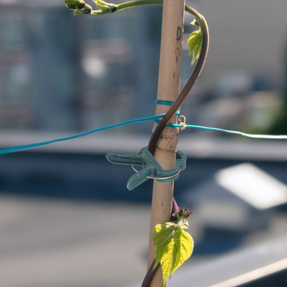 Vine Climbing Plastic - 50 Stück Gartenclips für Kletterpflanzen, Kunststoff-Rankhilfen,