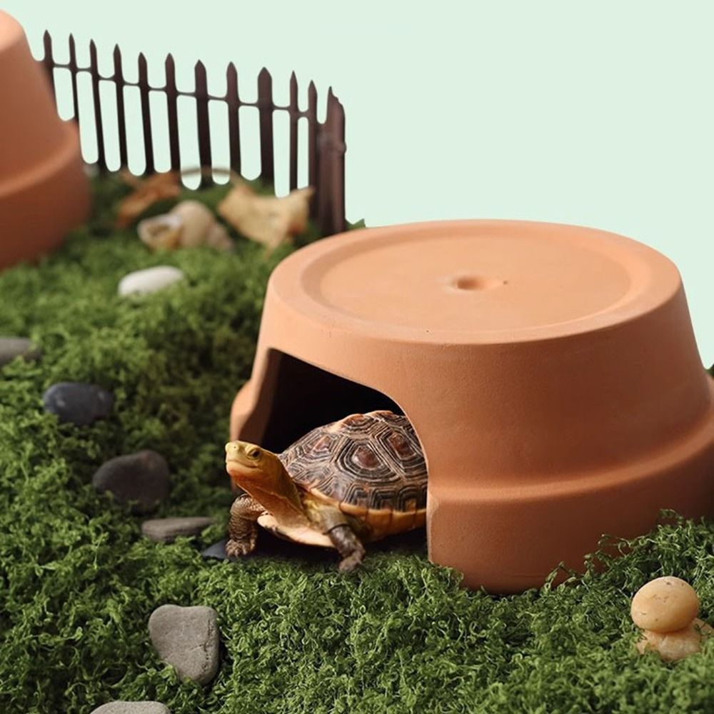 Multifunktionale Keramik-Repti – Hide Cave Ceramic Bewertung und Preis