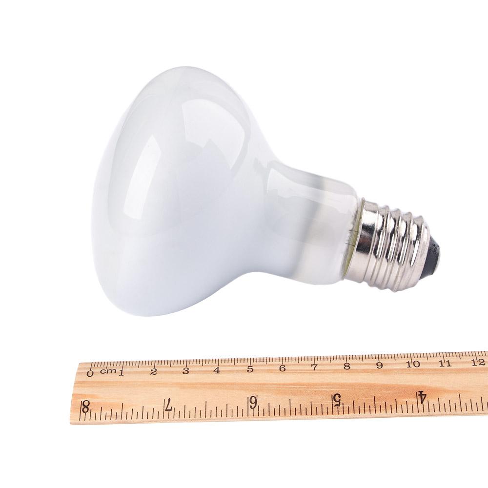 Eidechsen-Heizlampe UVA-Licht  – Basking Bulb Halogen Bewertung und Preis