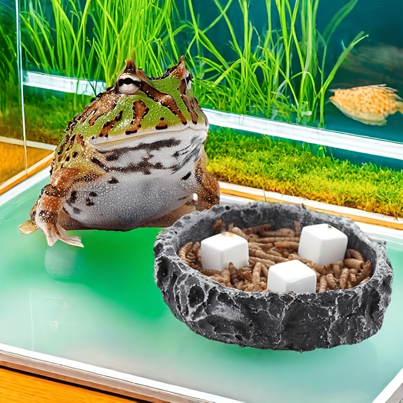 6 Stück Schleifsteine für Rept – Calcium Powder Reptile Bewertung und Preis