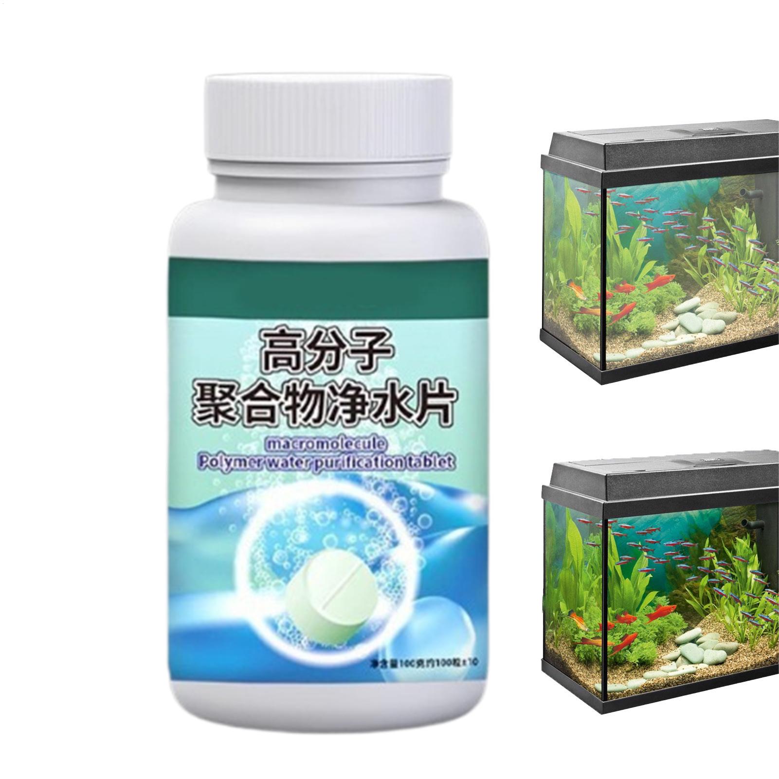 Fischfutter-Algenentferner, Aq – Water Dish Reptile Bewertung und Preis