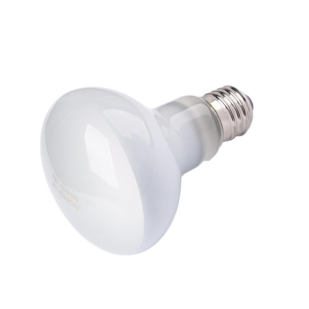 Eidechsen-Heizstrahler mit Tem – Basking Bulb Halogen Bewertung und Preis