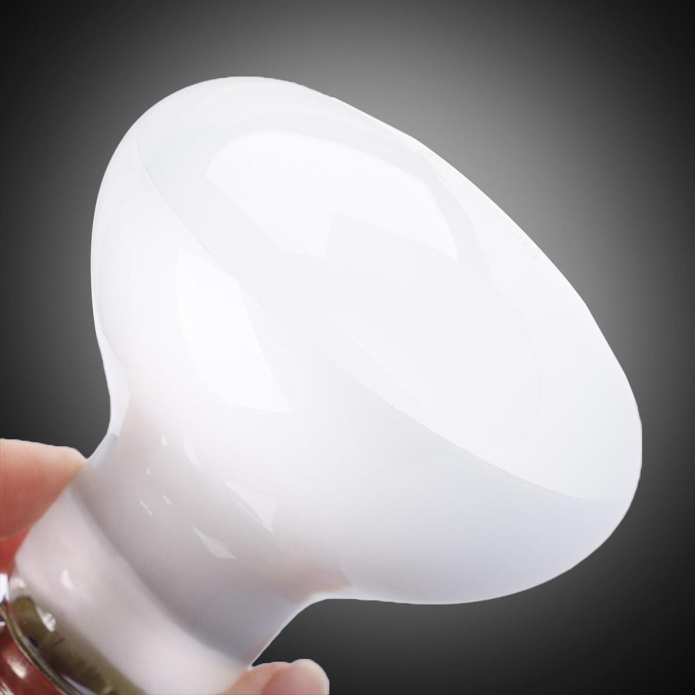 Eidechsen-Heizstrahler mit Tem – Basking Bulb Halogen Bewertung und Preis