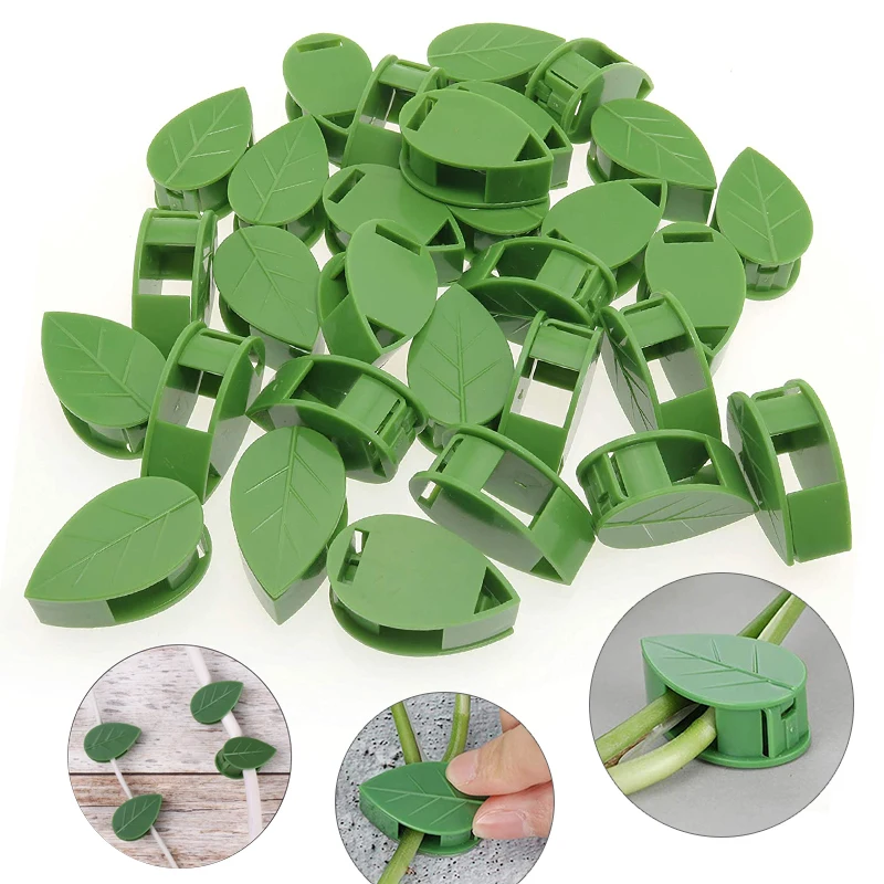 1-50Pcs unsichtbare pflanze wa – Vine Climbing Plastic Bewertung und Preis