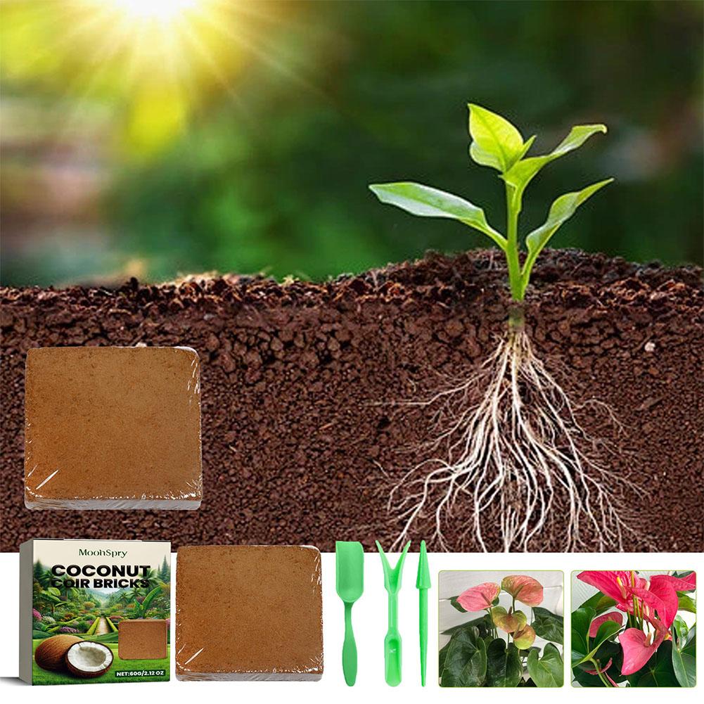 Reptilien-Kokosnuss-Boden, Kok – Substrate Coconut Fiber Bewertung und Preis