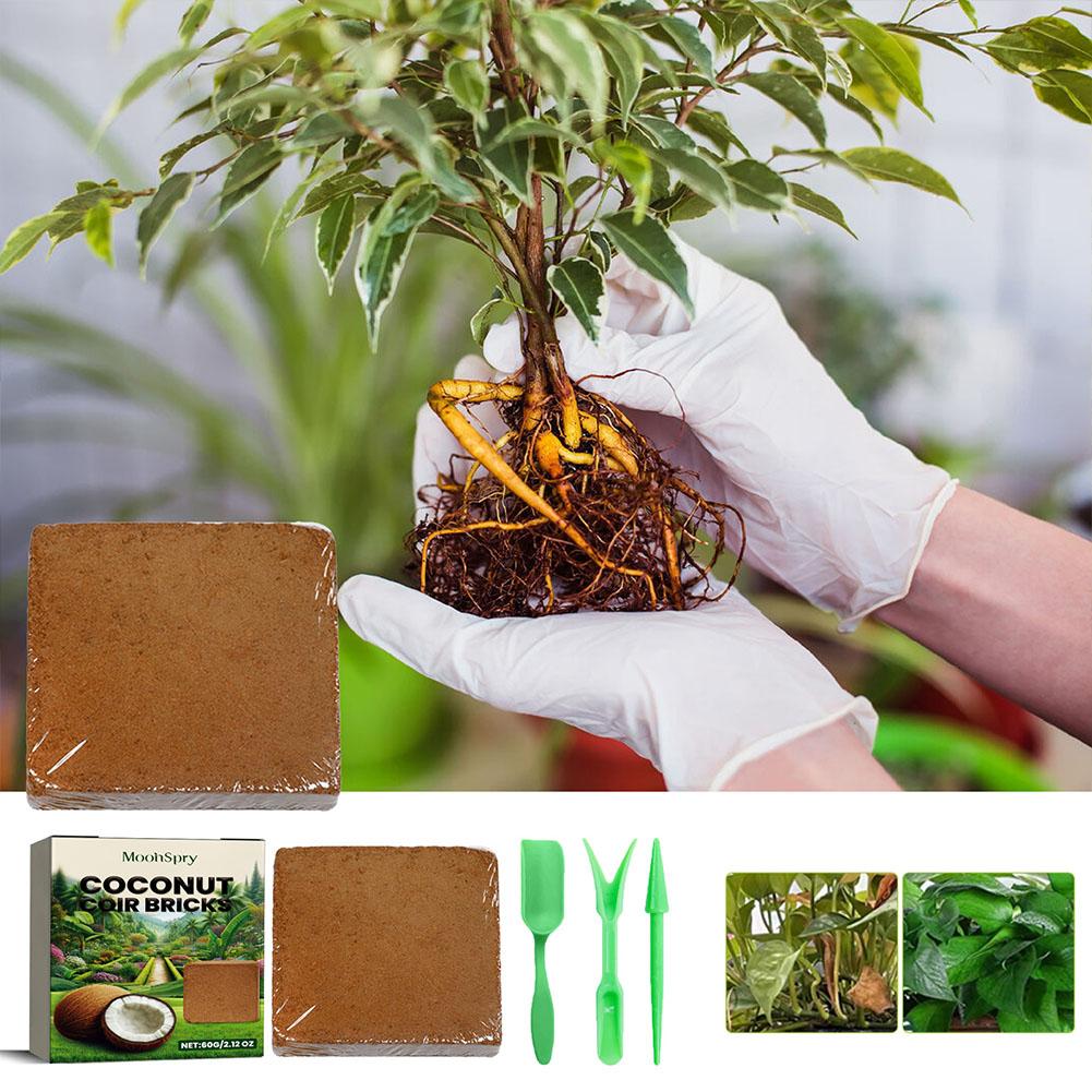 Reptilien-Kokosnuss-Boden, Kok – Substrate Coconut Fiber Bewertung und Preis