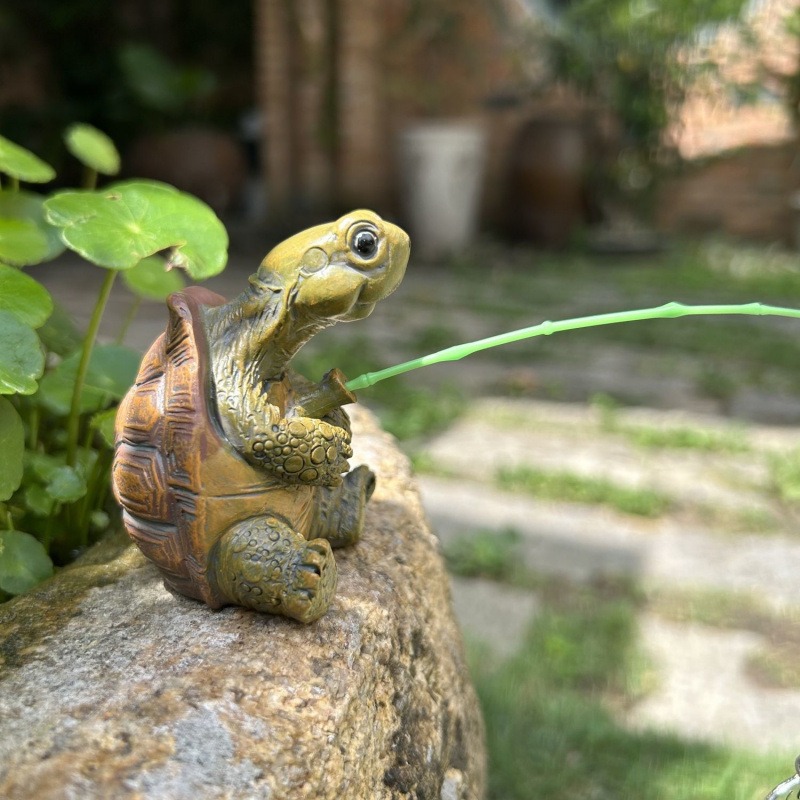 Schildkröte Angeln Aquarium Aq – Water Dish Reptile Bewertung und Preis