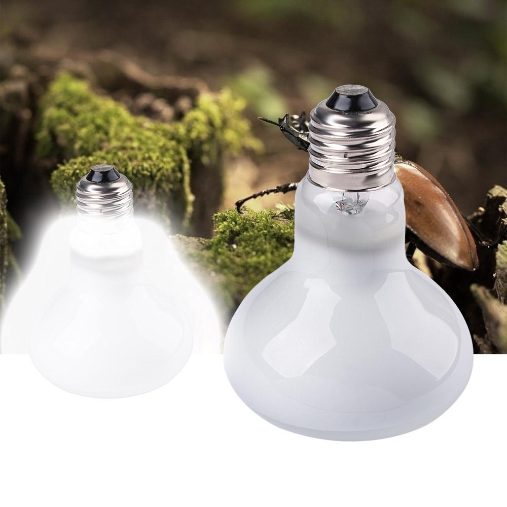 Eidechsen-Temperaturregler Wär – Basking Bulb Halogen Bewertung und Preis