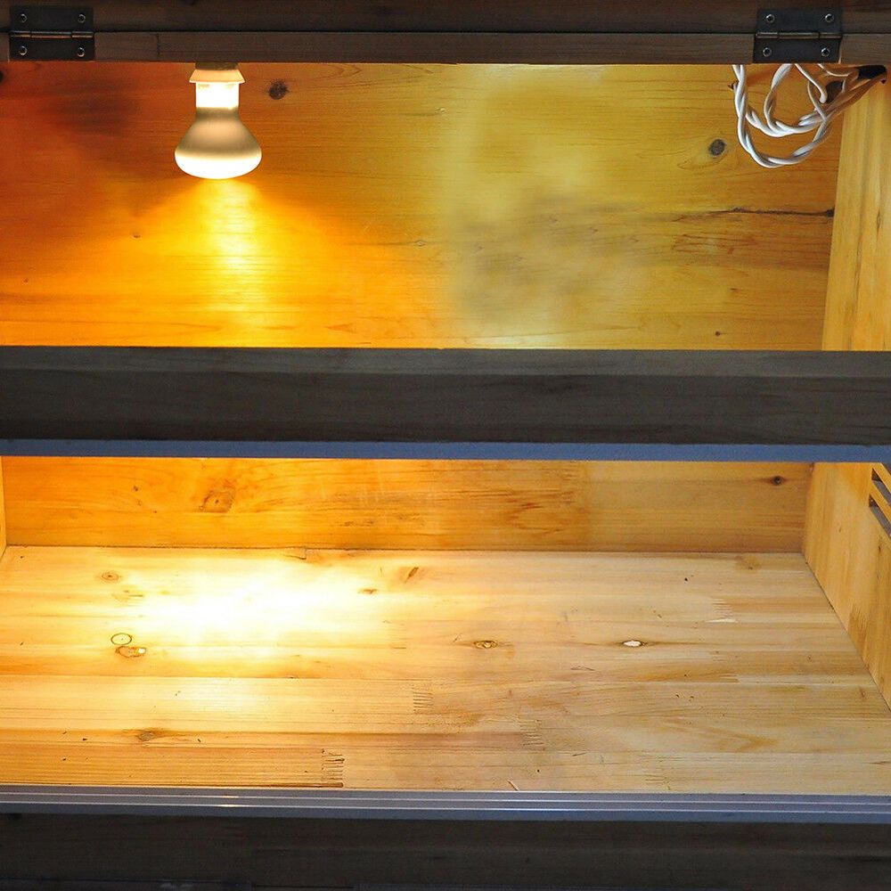 Eidechsen-Temperaturregler Wär – Basking Bulb Halogen Bewertung und Preis