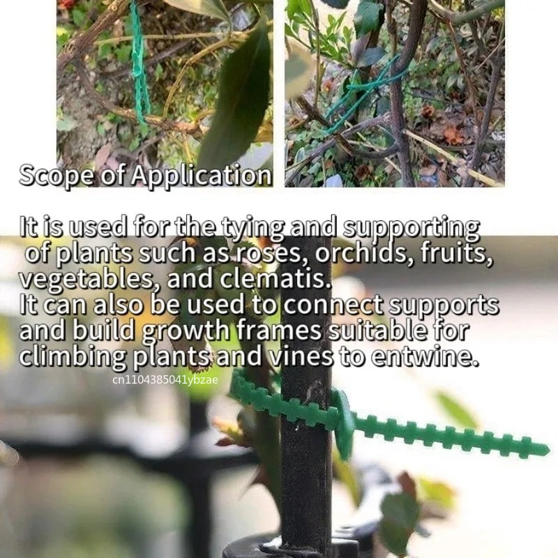 50–1000 Stück verstellbare Kun – Vine Climbing Plastic Bewertung und Preis