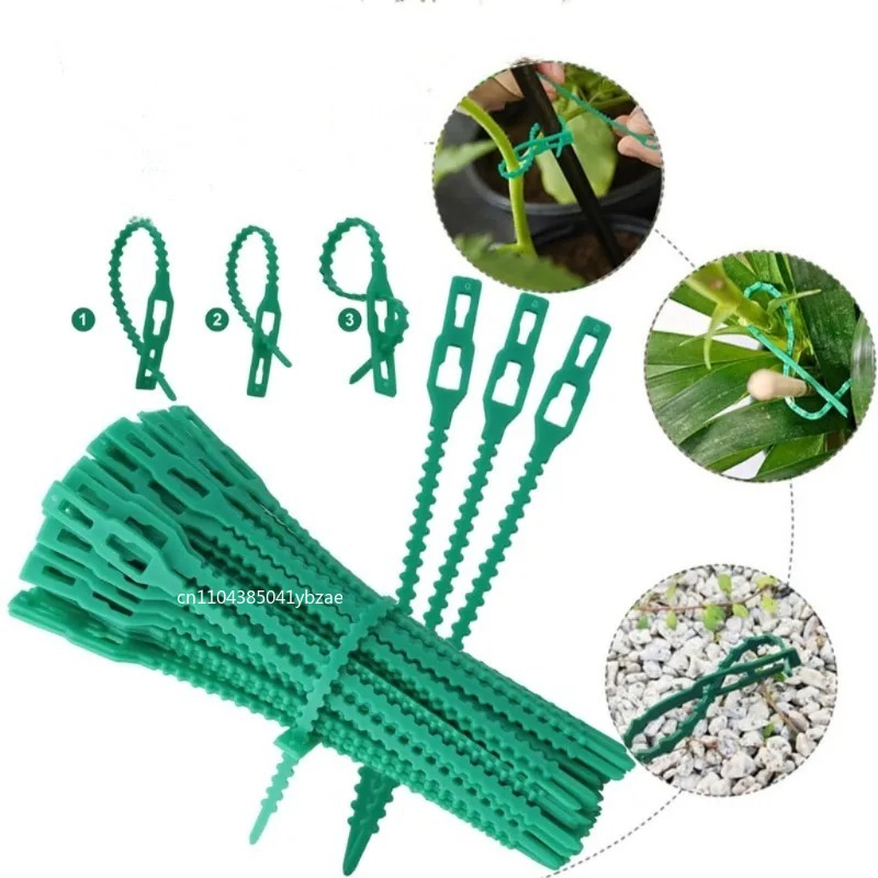 50–1000 Stück verstellbare Kun – Vine Climbing Plastic Bewertung und Preis