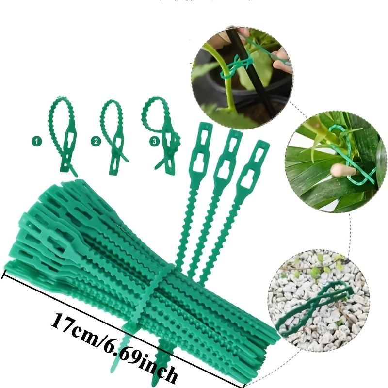100 Stück Wiederverwendbare Ve – Vine Climbing Plastic Bewertung und Preis