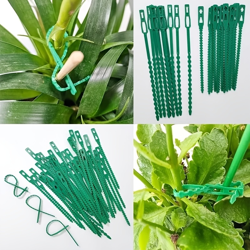 100 Stück Wiederverwendbare Ve – Vine Climbing Plastic Bewertung und Preis