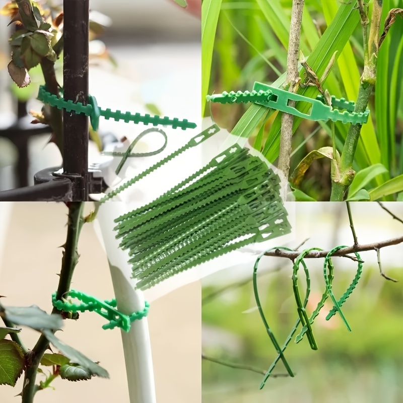 100 Stück Wiederverwendbare Ve – Vine Climbing Plastic Bewertung und Preis
