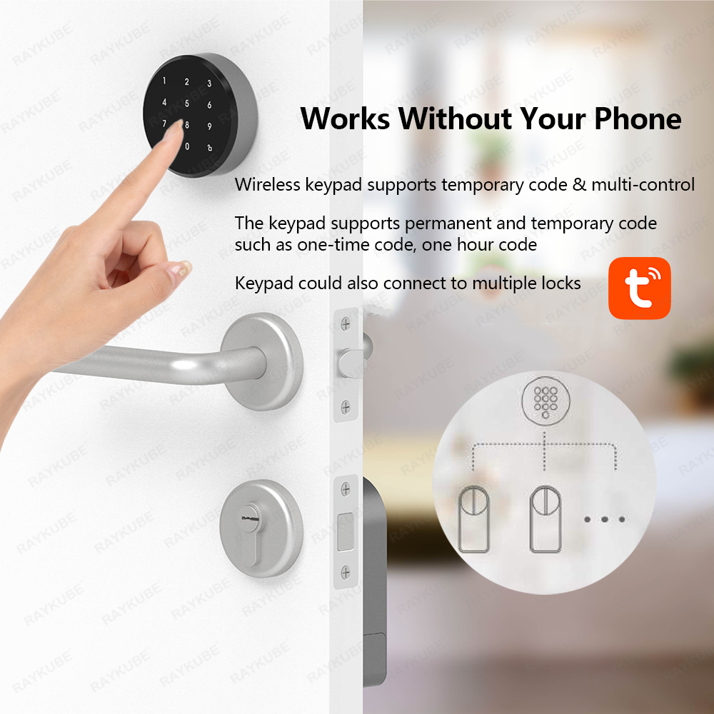 RAYKUBE A1 Pro Tuya BEL Intell – Glass Door Hinge Bewertung und Preis