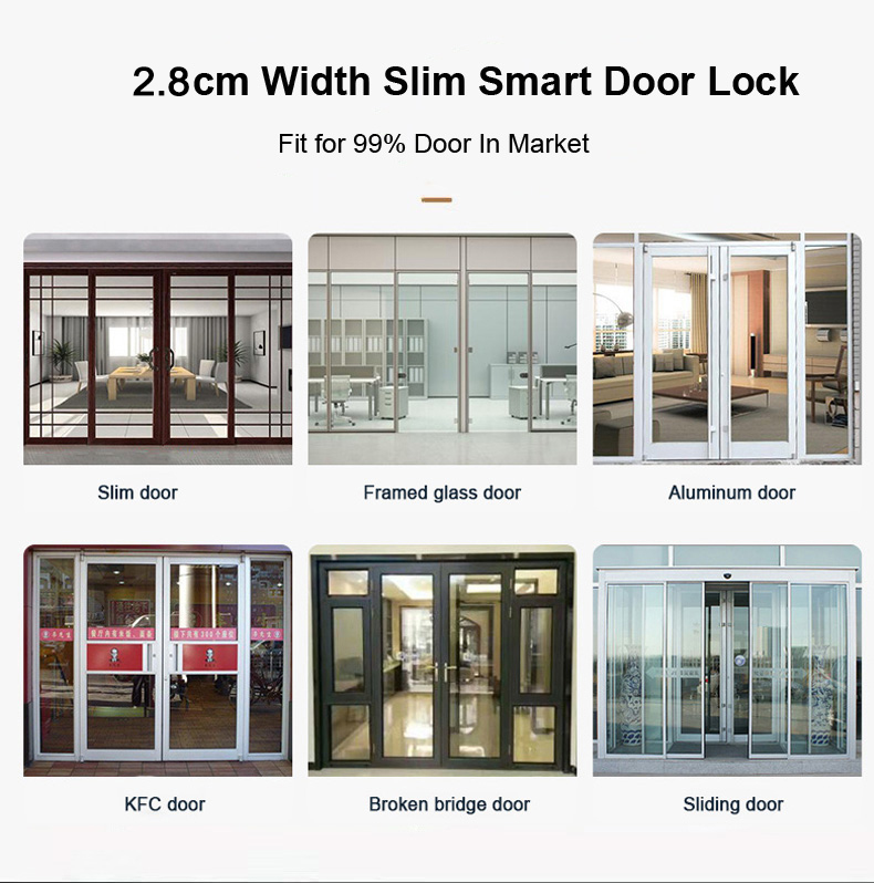 Intelligentes Türschloss mit F – Glass Door Hinge Bewertung und Preis