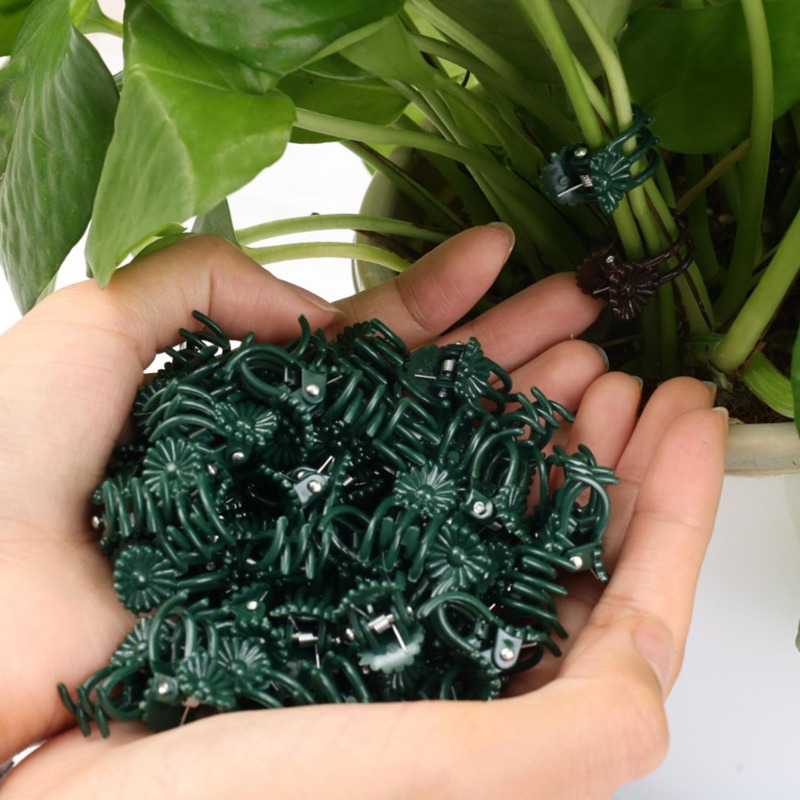 Großhandel Mini-Pflanzenstützc – Vine Climbing Plastic Bewertung und Preis