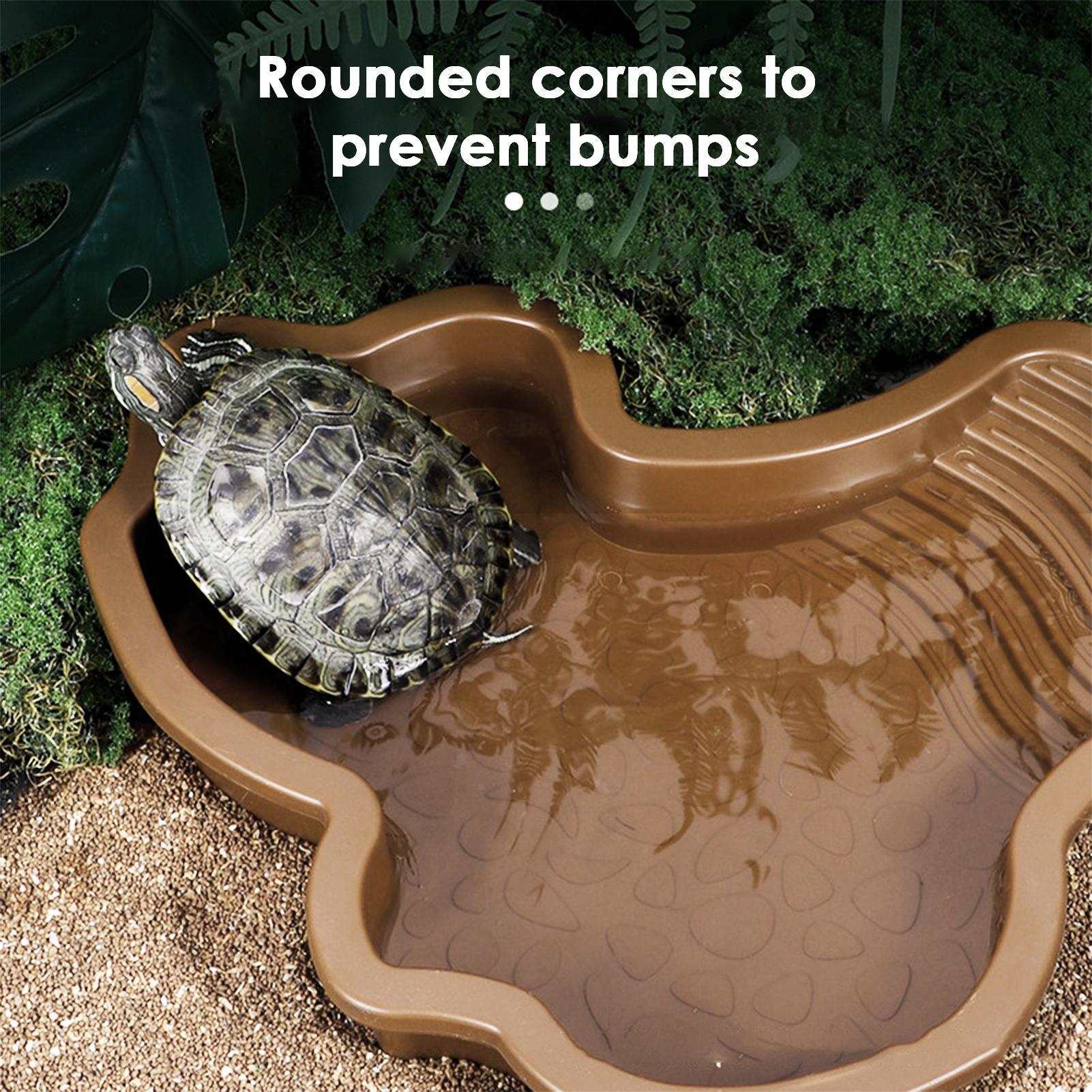 Reptilien-Badebecken mit Rampe – Water Dish Reptile Bewertung und Preis