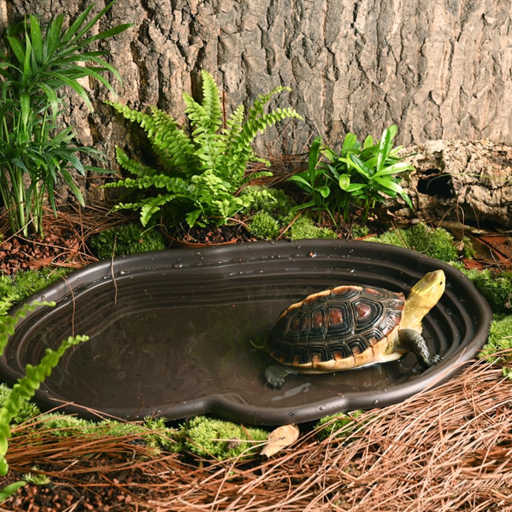 Reptilien-Badeschale, Amphibie – Water Dish Reptile Bewertung und Preis