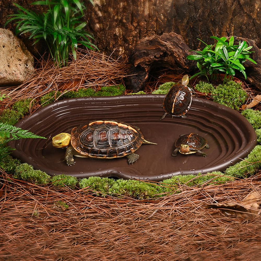 Reptilien-Badeschale, Amphibie – Water Dish Reptile Bewertung und Preis