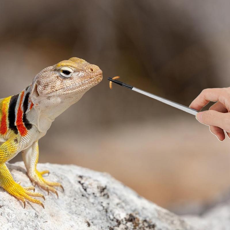 Extra lange Reptilien-Fütterun – Feeding Tong Stainless Bewertung und Preis