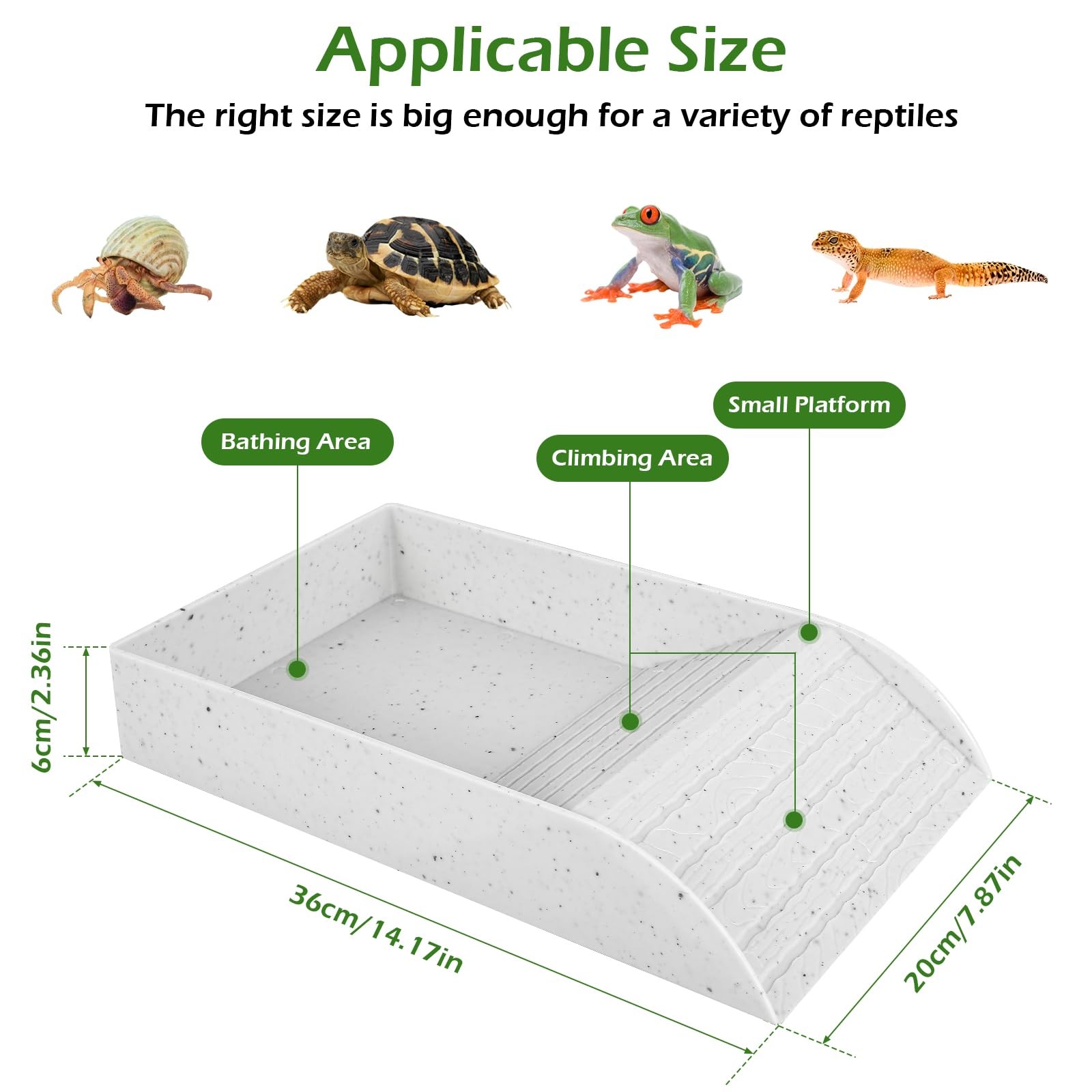 Anti Slip Schildkröte Bad Schü – Water Dish Reptile Bewertung und Preis