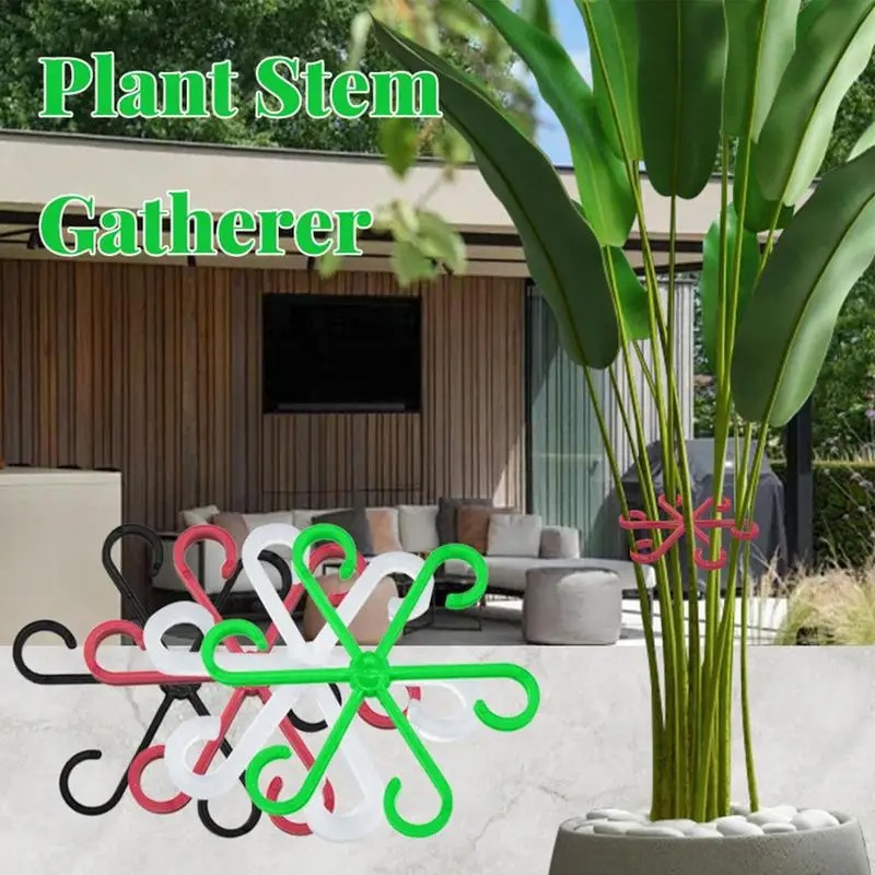 Pflanzenstamm-Stützklammer Mon – Vine Climbing Plastic Bewertung und Preis