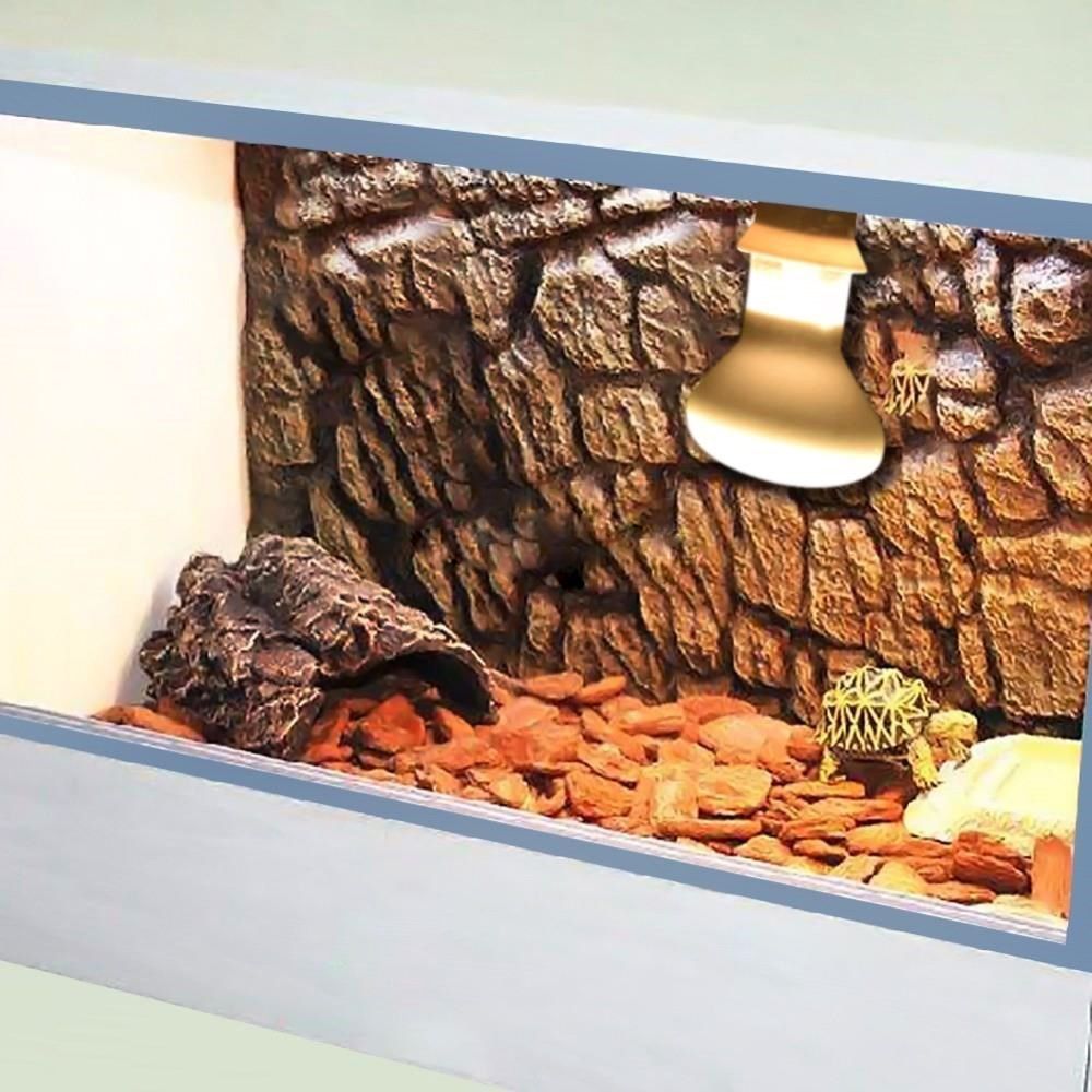 Schildkröte Temperaturregler W – Basking Bulb Halogen Bewertung und Preis