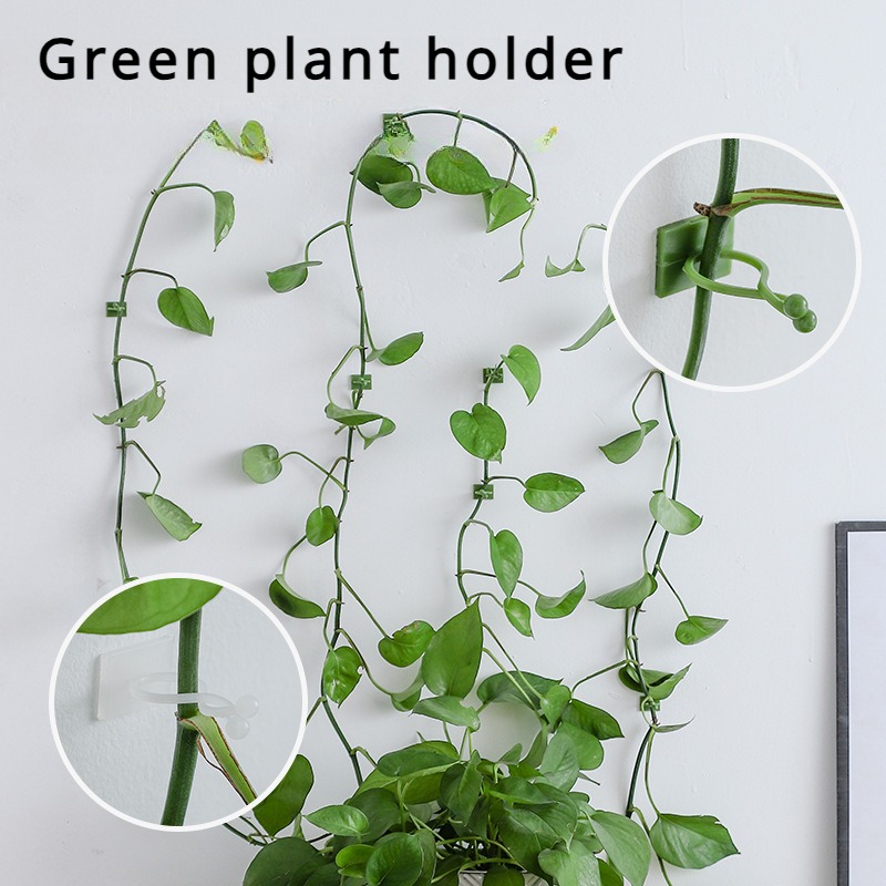 10 Stück Pflanzenwand-Befestig – Vine Climbing Plastic Bewertung und Preis