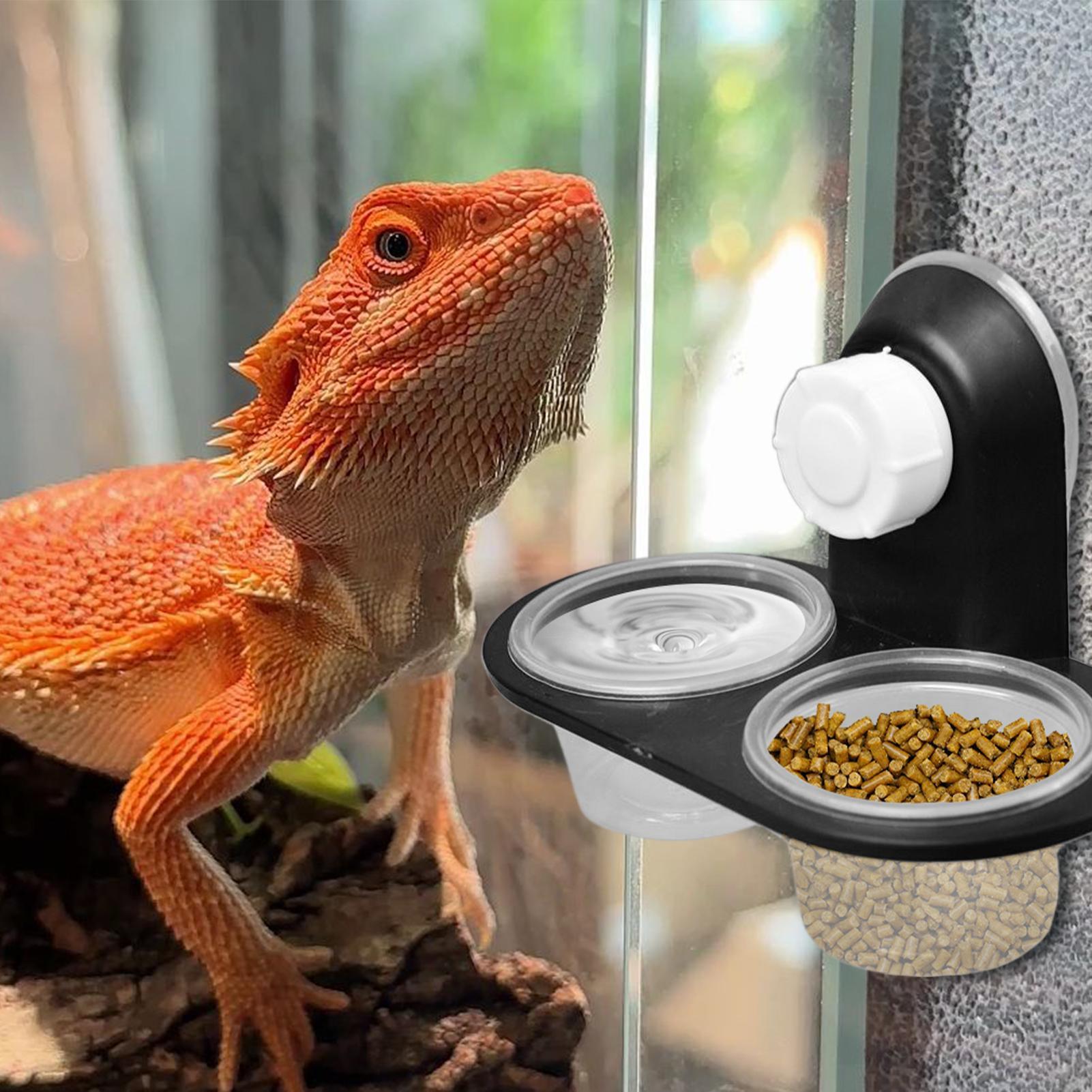 Gecko-Futterschale, Gecko-Fütt – Water Dish Reptile Bewertung und Preis