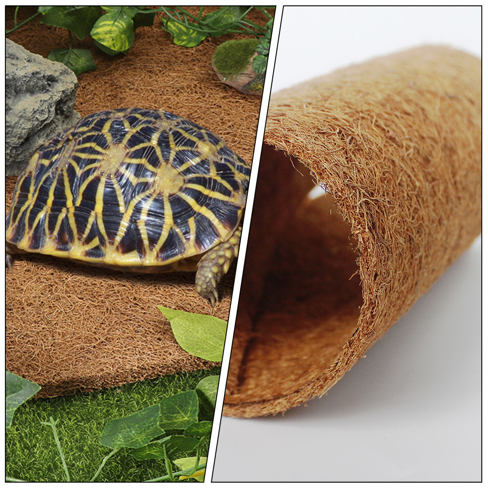 Natürliche Kokosfaser-Reptilie – Substrate Coconut Fiber Bewertung und Preis
