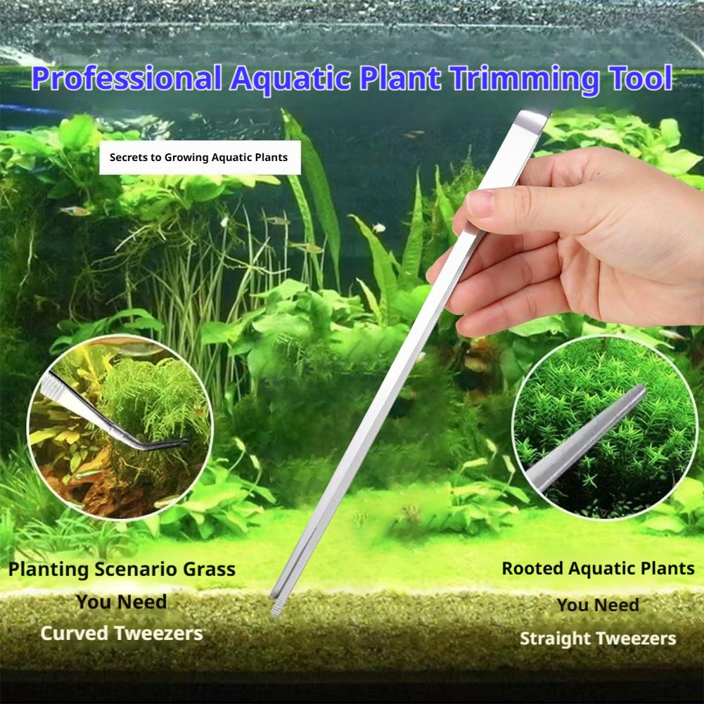 Edelstahl-Aquarium-Pinzette Aq – Feeding Tong Stainless Bewertung und Preis