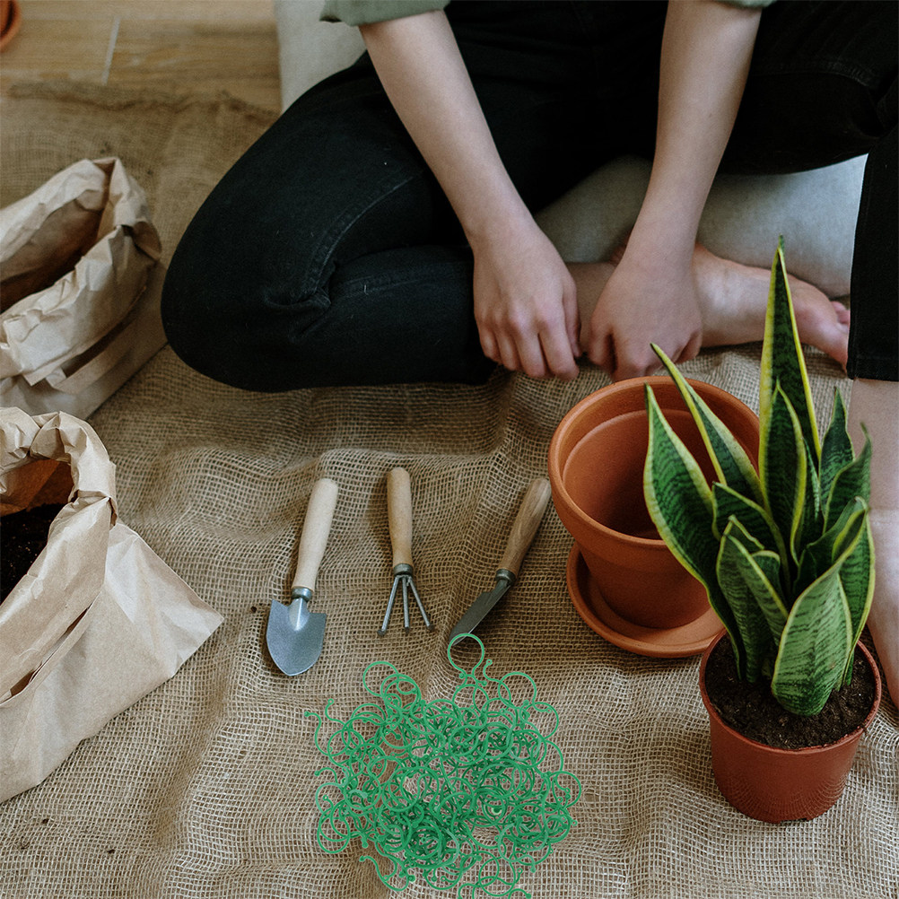 200 Stück Gartenpflanzenclips  – Vine Climbing Plastic Bewertung und Preis