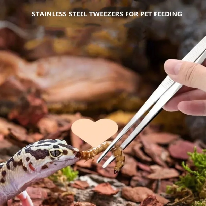 Multifunktionale Edelstahl-Ell – Feeding Tong Stainless Bewertung und Preis