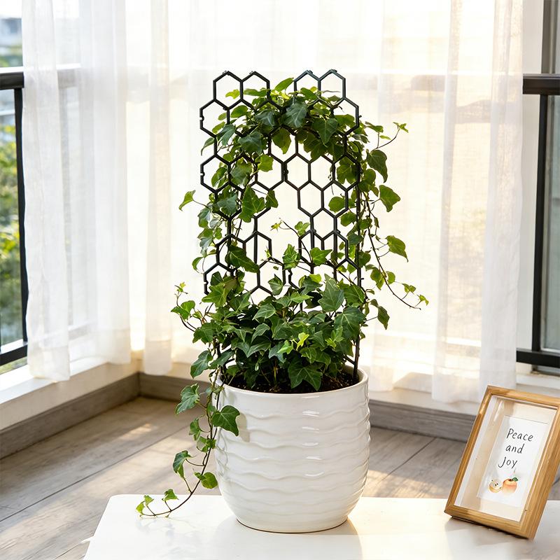 1/5 Stück Wabenförmiges Pflanz – Vine Climbing Plastic Bewertung und Preis