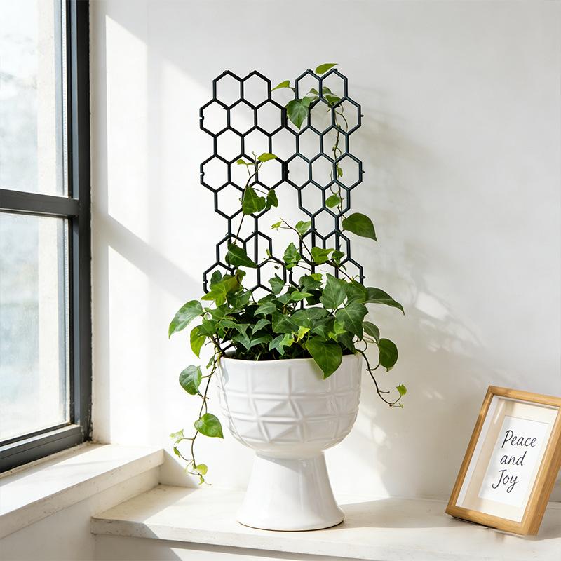 1/5 Stück Wabenförmiges Pflanz – Vine Climbing Plastic Bewertung und Preis