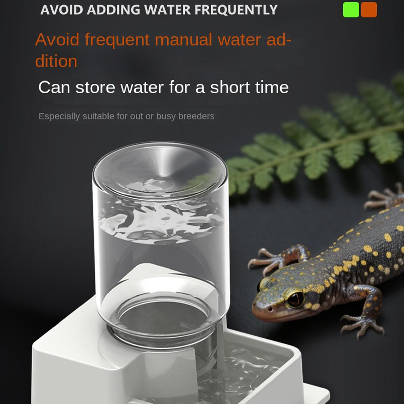 Automatischer Wasserbrunnen fü – Water Dish Reptile Bewertung und Preis