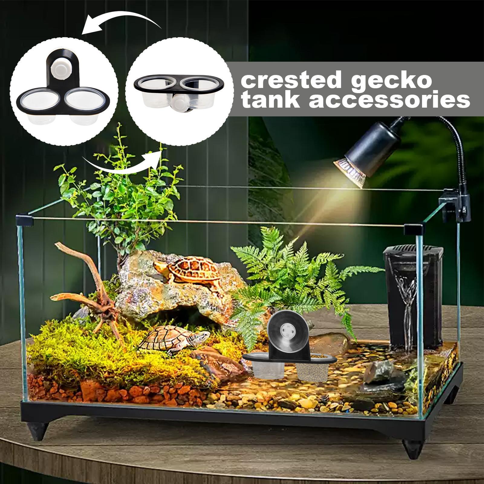 Gecko-Futterbank mit abnehmbar – Water Dish Reptile Bewertung und Preis