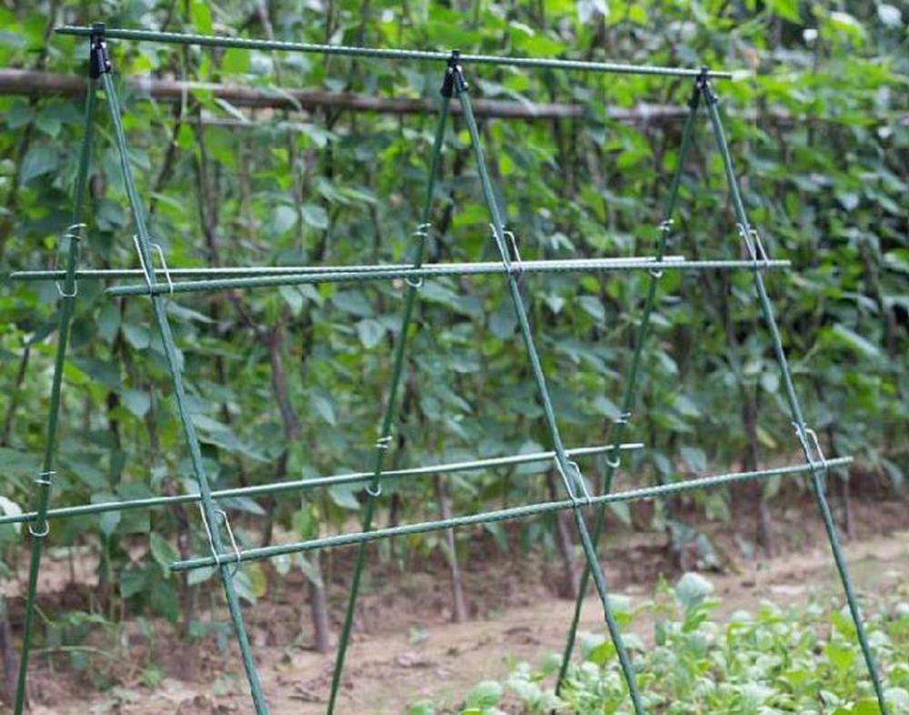 Durchmesser/16mm Pflanzens tüt – Vine Climbing Plastic Bewertung und Preis