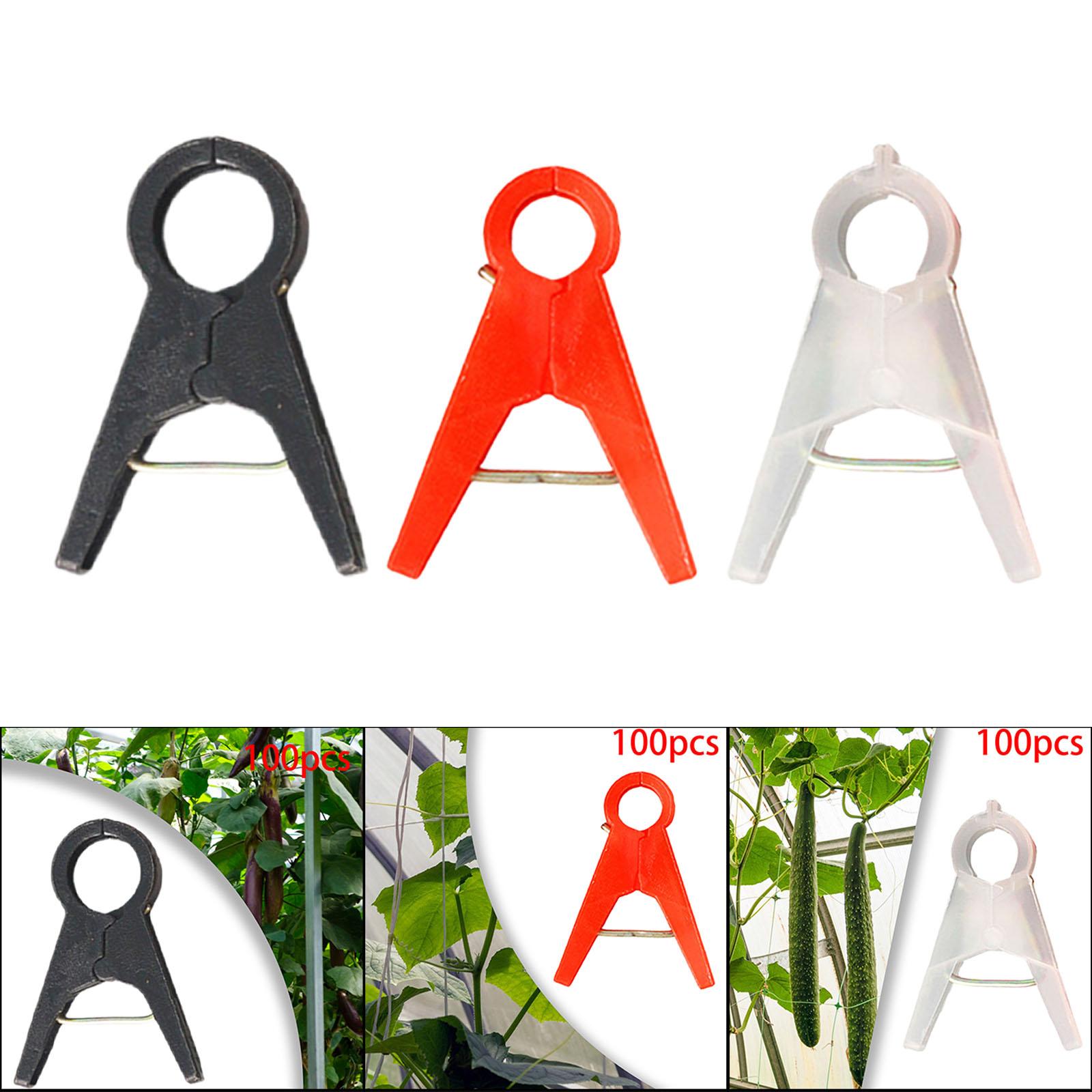 100 Stück Gartenpflanzen-Stütz – Vine Climbing Plastic Bewertung und Preis
